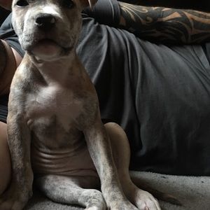 Meet your Posher, Guillermo